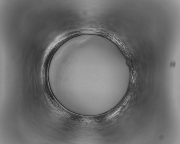 X0000094900343200712201139