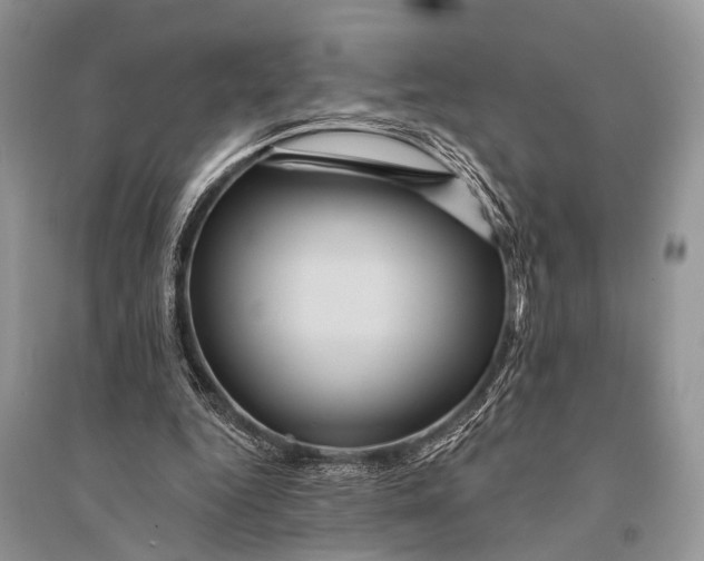 X0000094900344200712201139