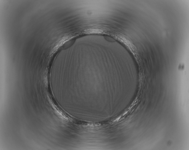 X0000094900345200712201139