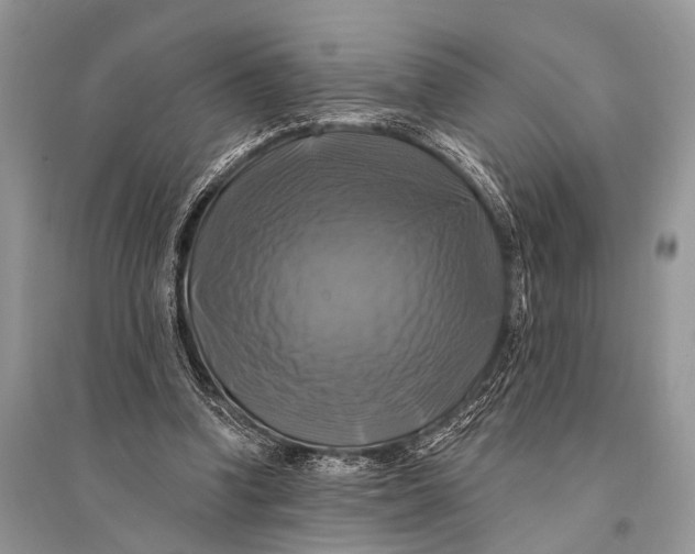 X0000094900346200712201139