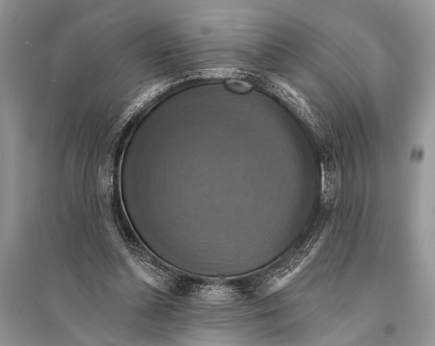 X0000094900348200712201139