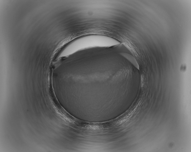 X0000094900349200712201139