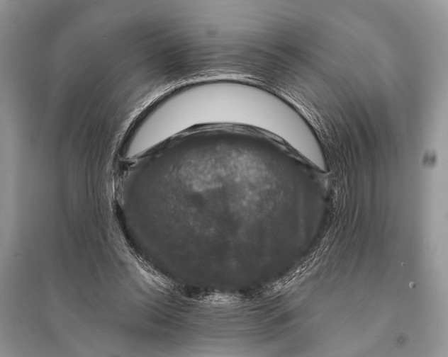 X0000094900350200712201139