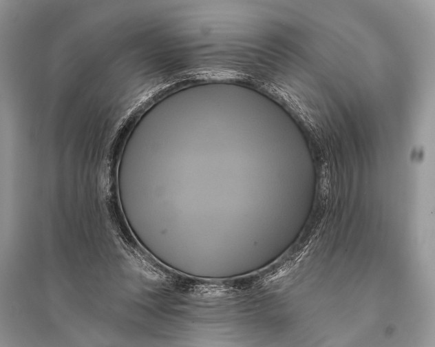 X0000094900351200712201139