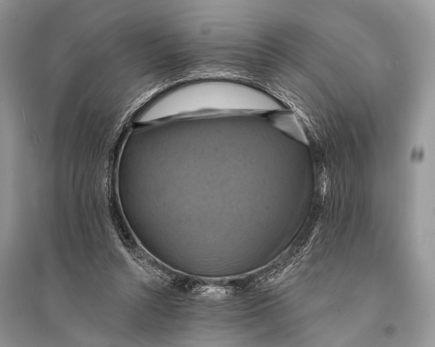 X0000094900352200712201139