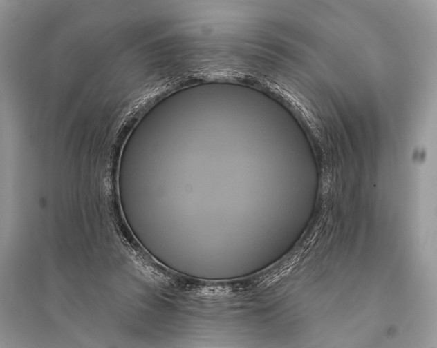 X0000094900353200712201139