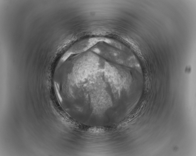 X0000094900354200712201140