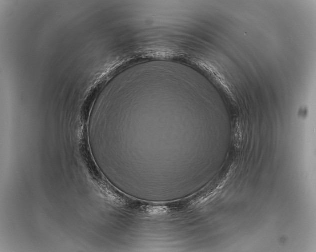 X0000094900355200712201140