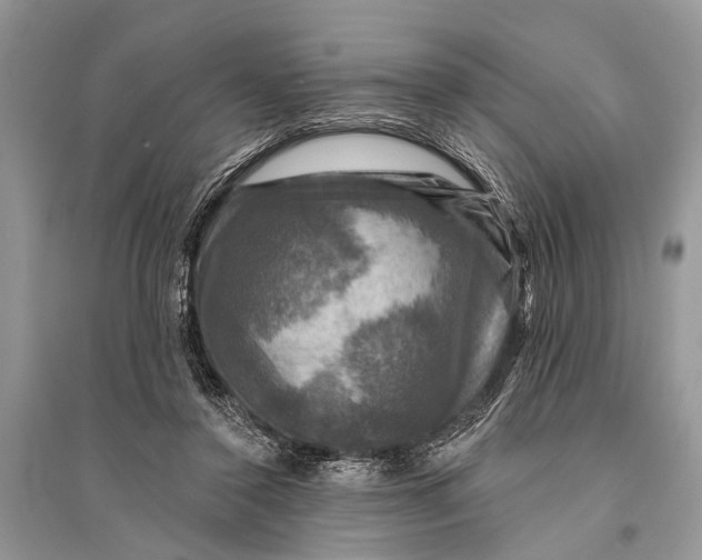 X0000094900356200712201140