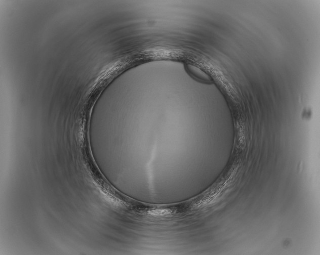 X0000094900357200712201140