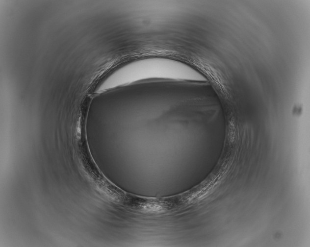 X0000094900358200712201140