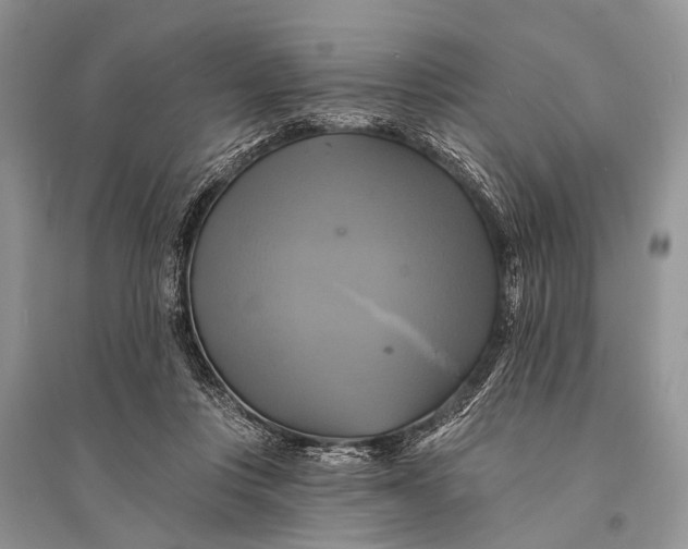 X0000094900359200712201140