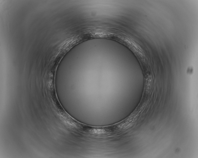 X0000094900361200712201140