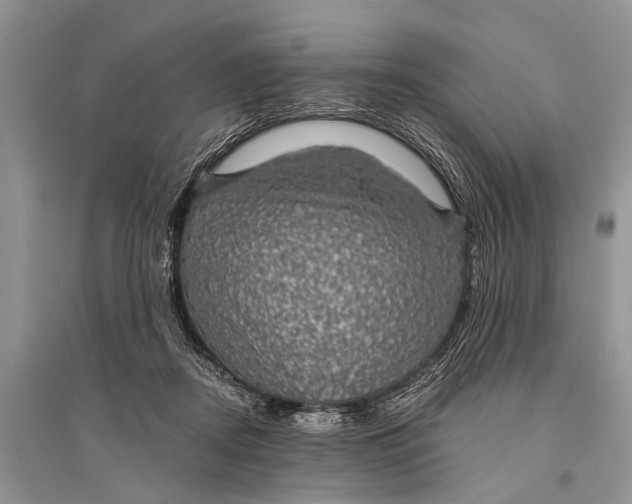 X0000094900362200712201140