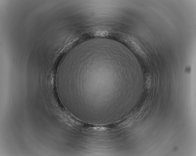 X0000094900363200712201140