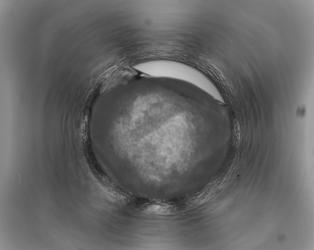 X0000094900364200712201140