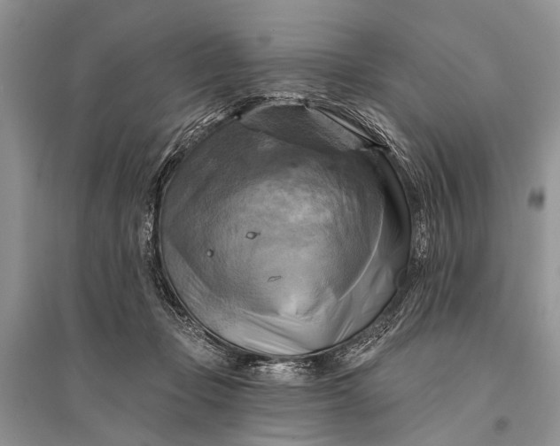 X0000094900365200712201140