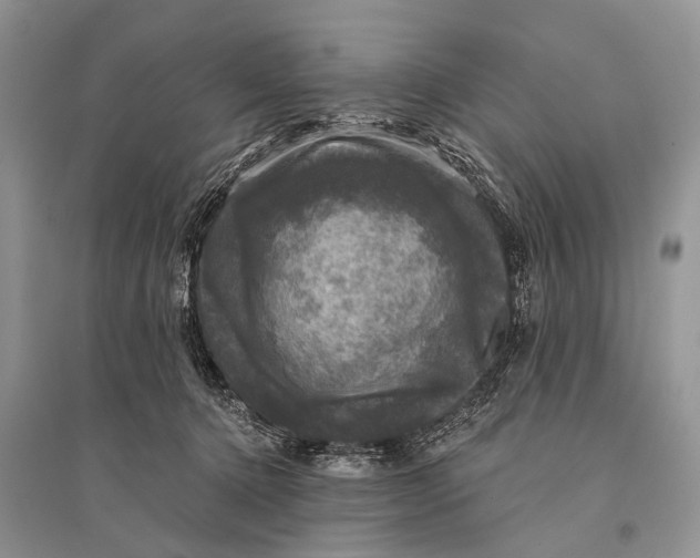 X0000094900368200712201140