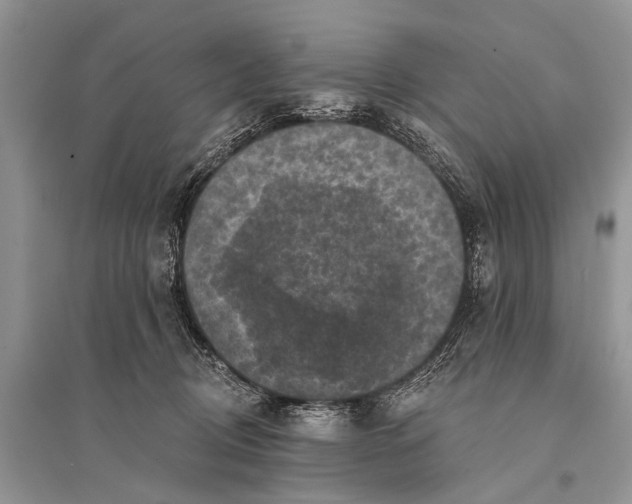 X0000094900370200712201140