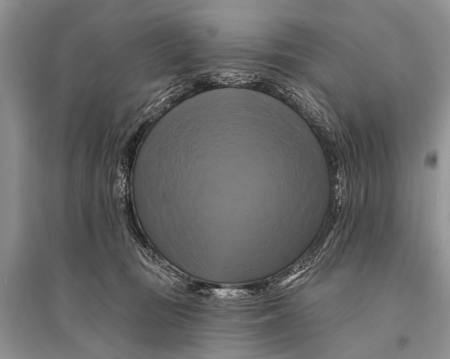 X0000094900371200712201140