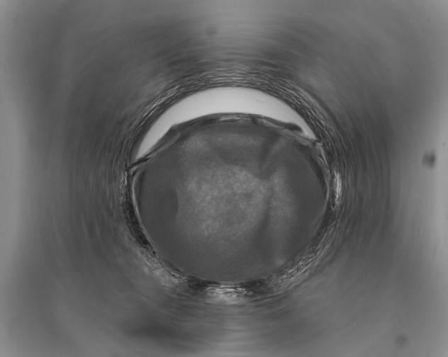 X0000094900372200712201140