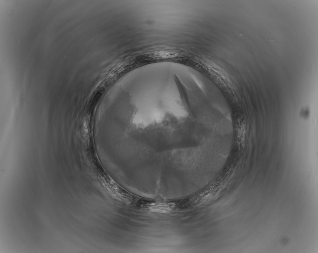 X0000094900373200712201140