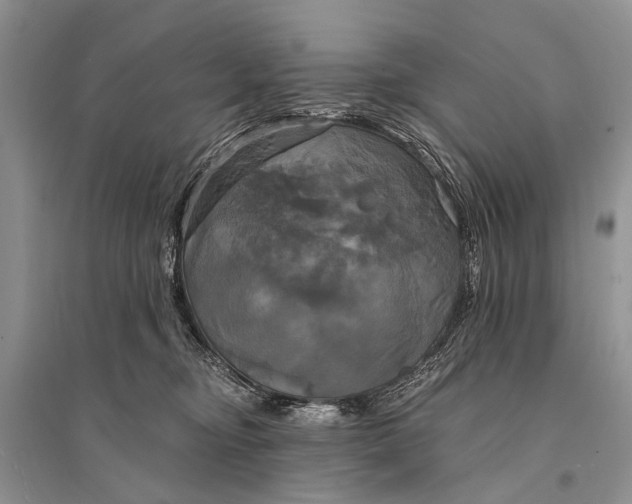 X0000094900374200712201140