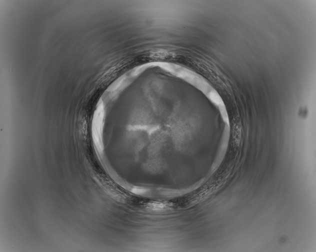 X0000094900375200712201140