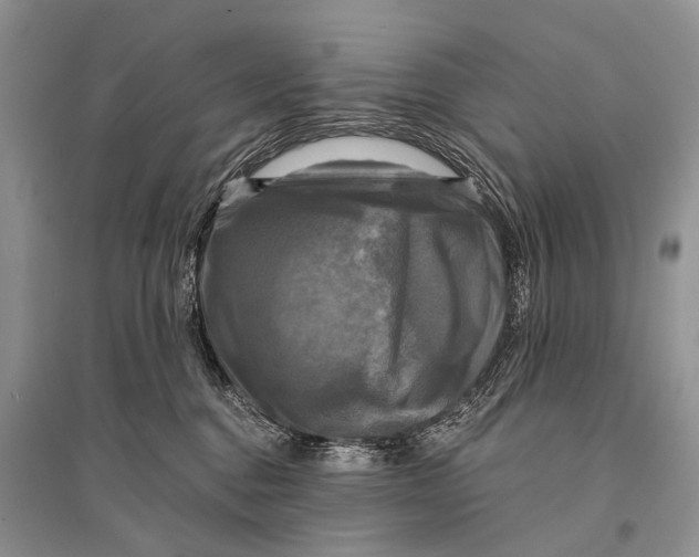 X0000094900376200712201140