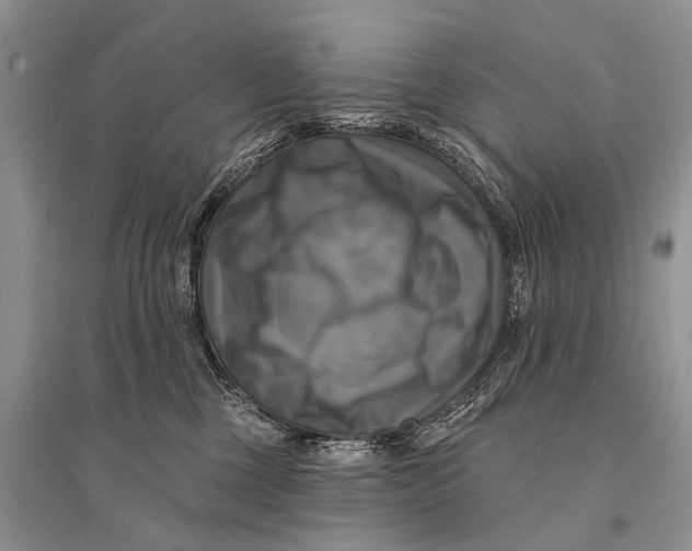 X0000094900377200712201140