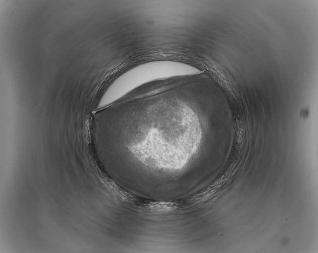 X0000094900378200712201140