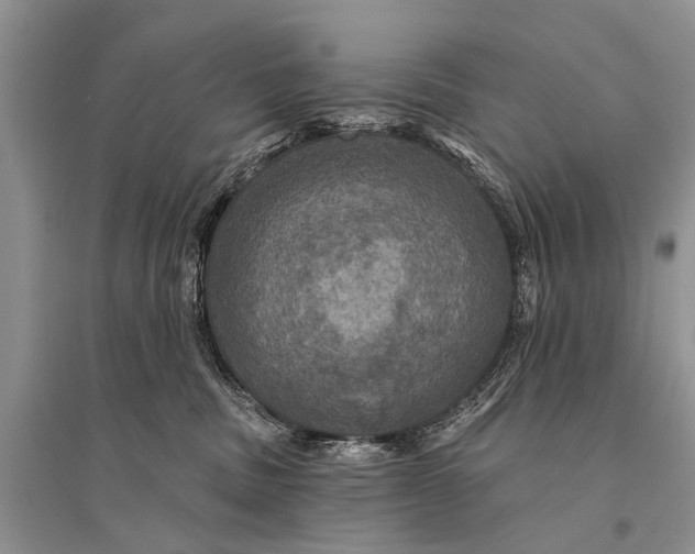 X0000094900379200712201140