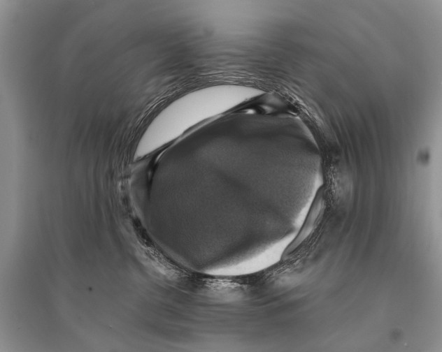 X0000094900380200712201140