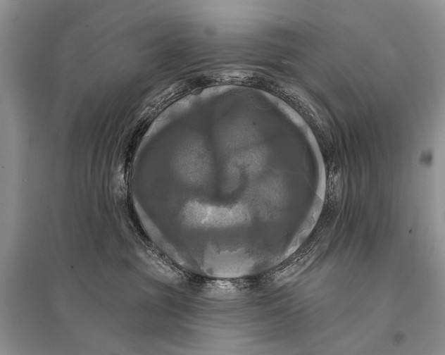 X0000094900381200712201140