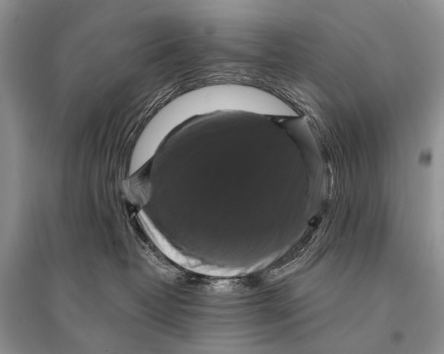 X0000094900382200712201140