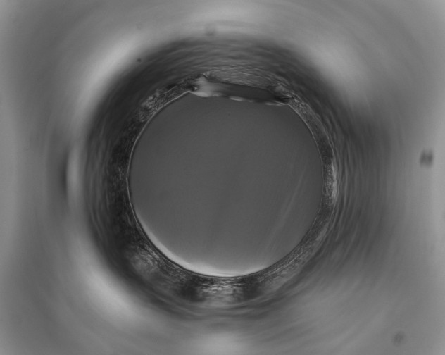 X0000094900383200712201140