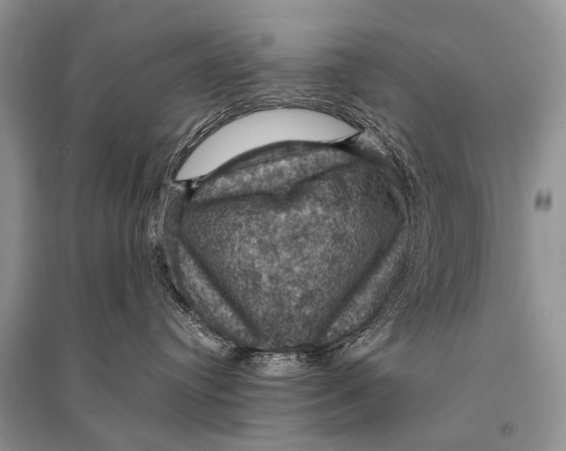 X0000094900384200712201140