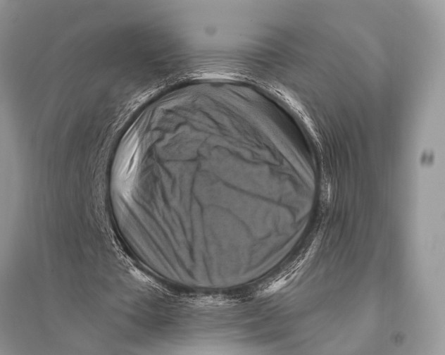 X0000094900385200712201139