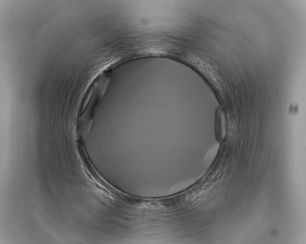 X0000094900386200712201139