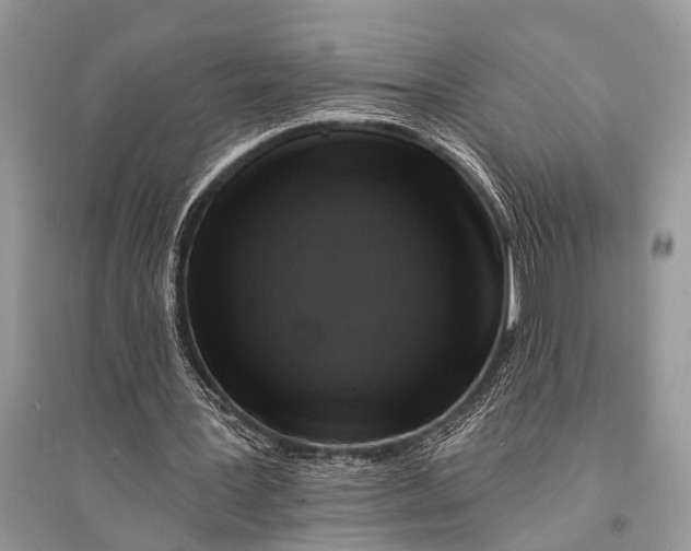 X0000094900387200712201139