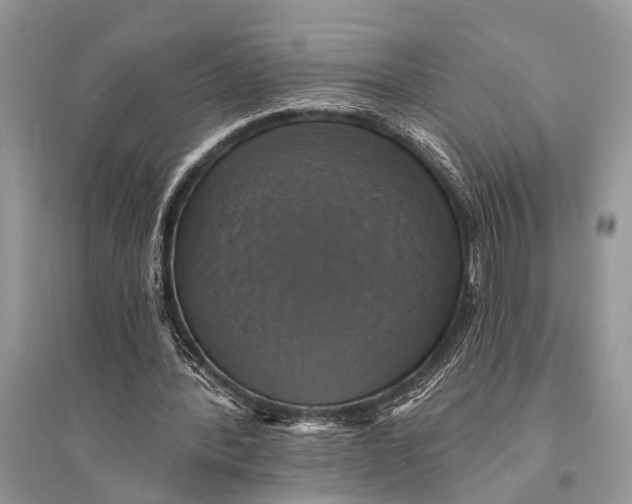 X0000094900388200712201139