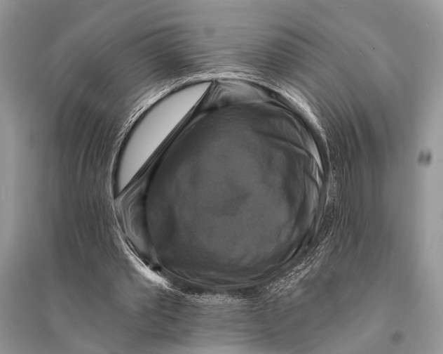 X0000094900389200712201139