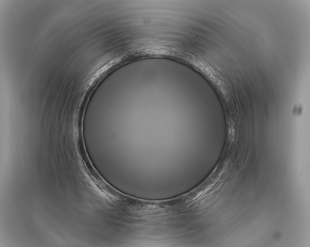 X0000094900390200712201139