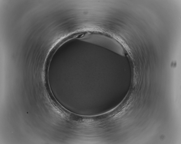 X0000094900391200712201139