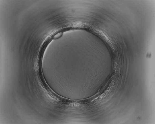 X0000094900392200712201139