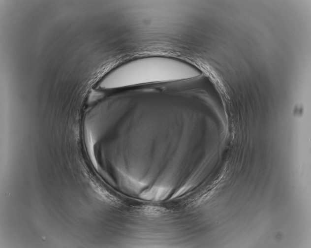 X0000094900393200712201139