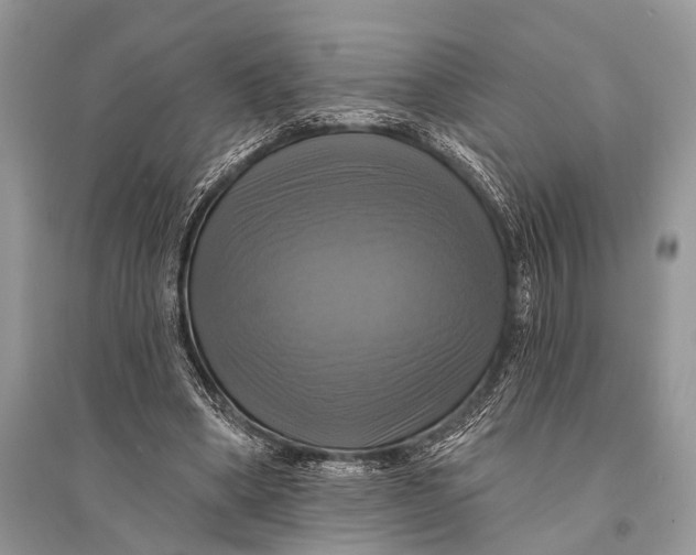 X0000094900394200712201139