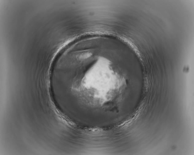 X0000094900395200712201139