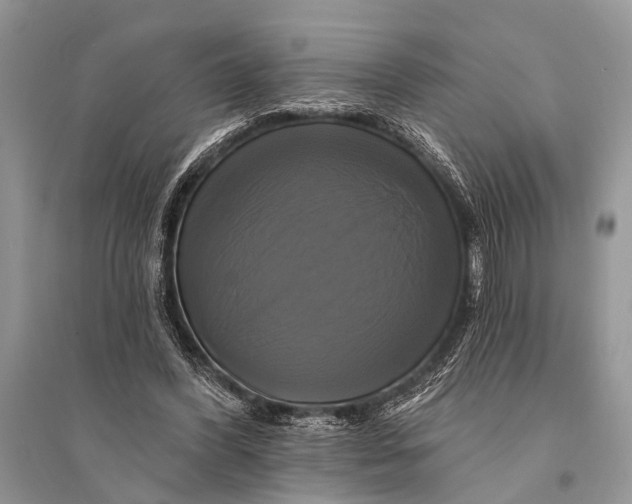 X0000094900396200712201139