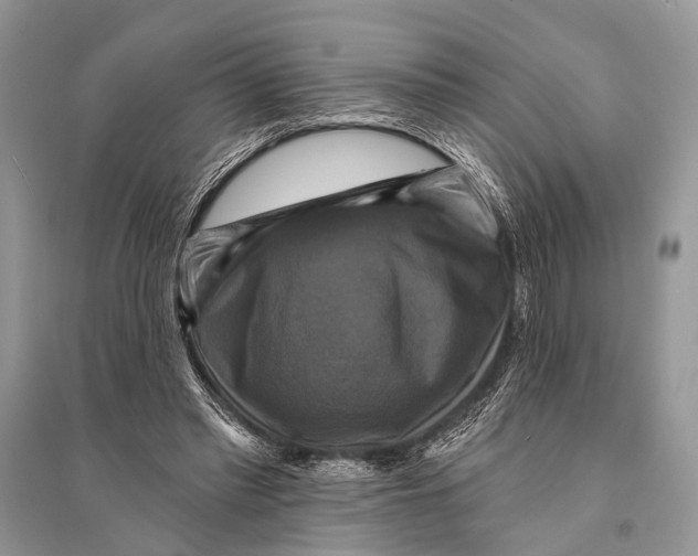 X0000094900397200712201139